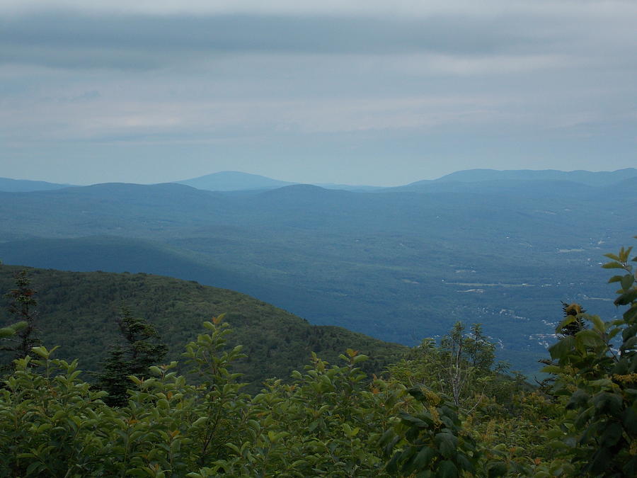 View from Mt Greylock Photograph by Catherine Gagne