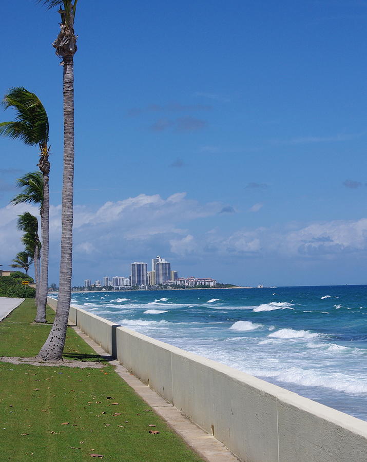 View From Palm Beach Photograph by Don Youngclaus