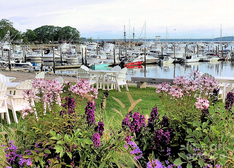 View from Plymouth Yacht Club Photograph by Janice Drew