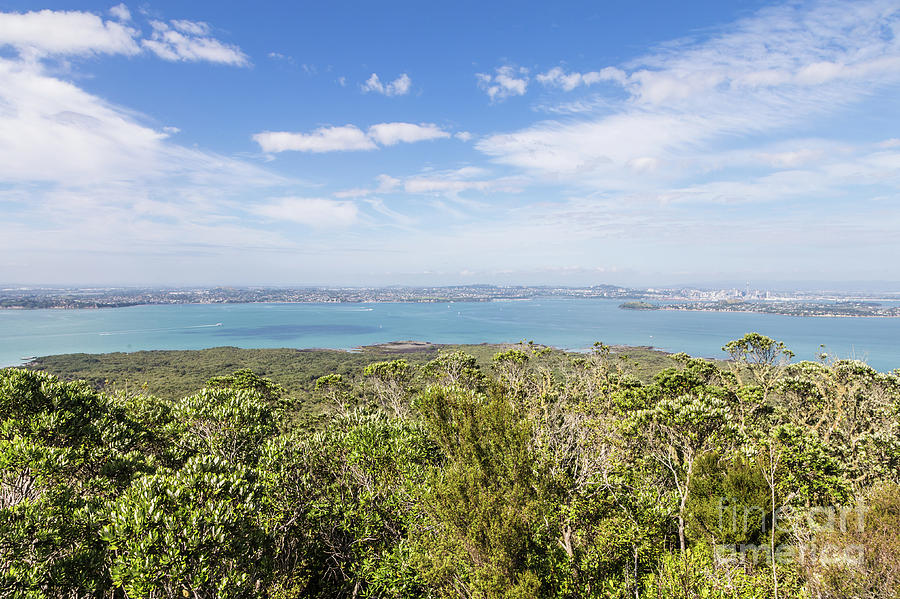 View from Rangitoto island over Auckland in New Zealand Photograph by Didier Marti