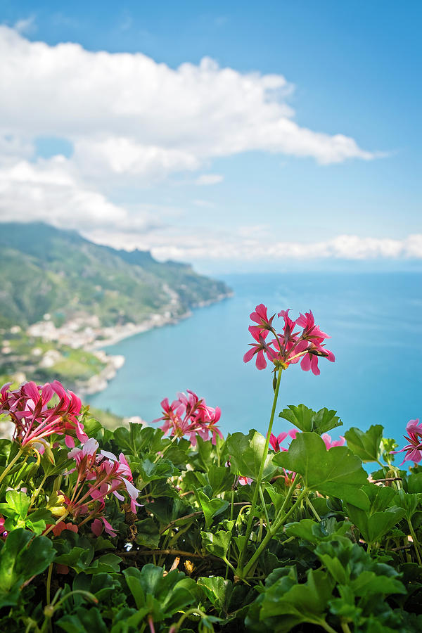View from Ravello Photograph by Catherine Reading