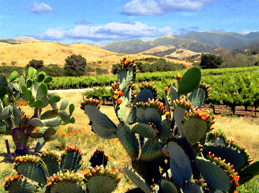 Landscape Photograph - View from Santa Rosa Road by Kurt Van Wagner