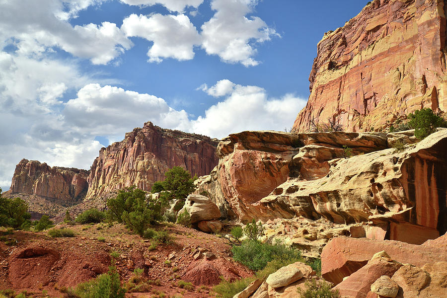 Capitol Reef National Park Photograph - View from Scenic Drive in Capitol Reef by Ray Mathis