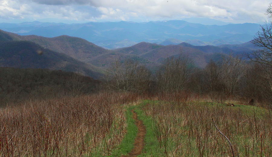 Mountain Photograph - View from Silers Bald 2015a by Cathy Lindsey