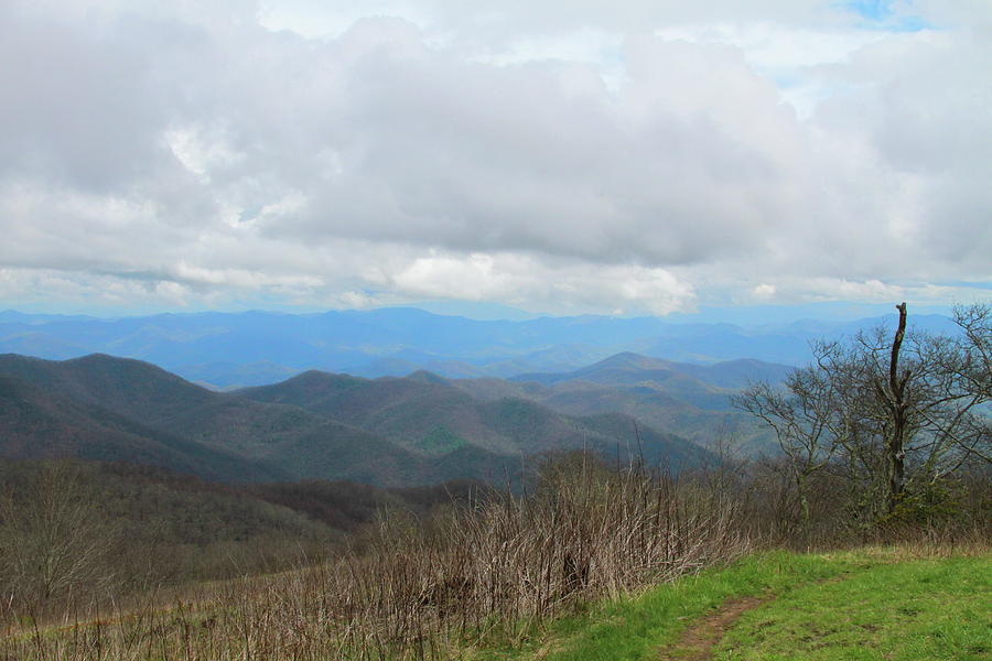 Mountain Photograph - View From Silers Bald 2015d by Cathy Lindsey