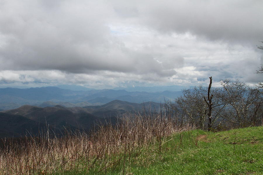 Mountain Photograph - View from Silers Bald 2015e by Cathy Lindsey