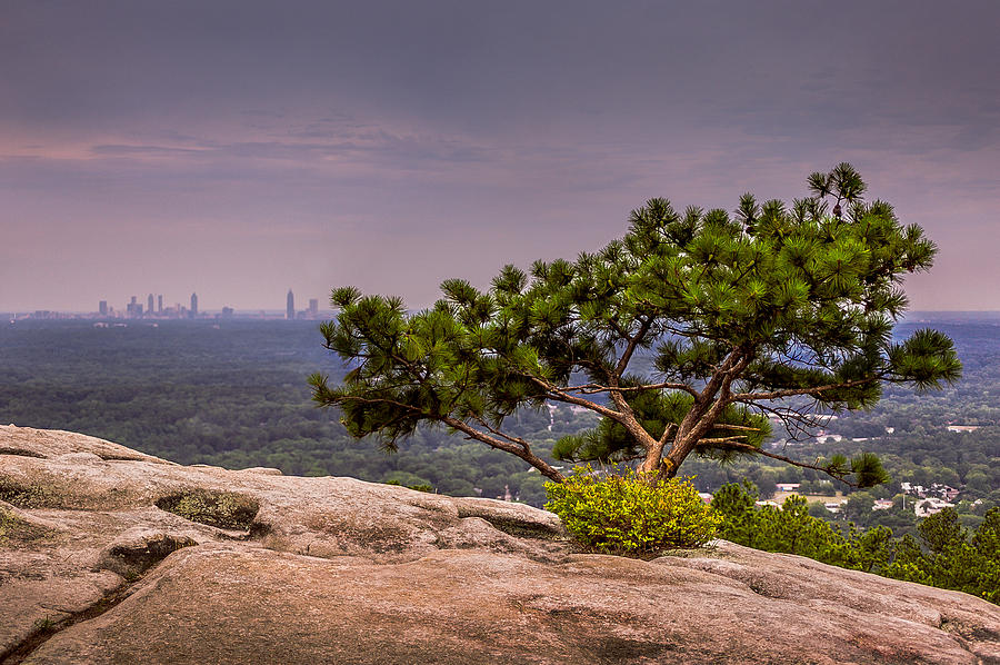 Atlanta Photograph - View from Stone Mountain by Frank Vazquez