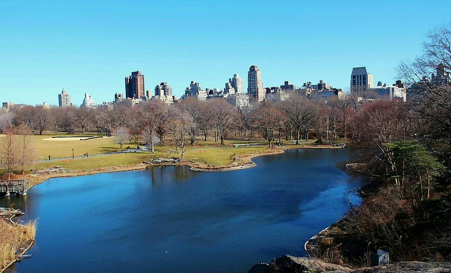 View from the belvedere castle Photograph by Vidal Ortiz - Fine Art America