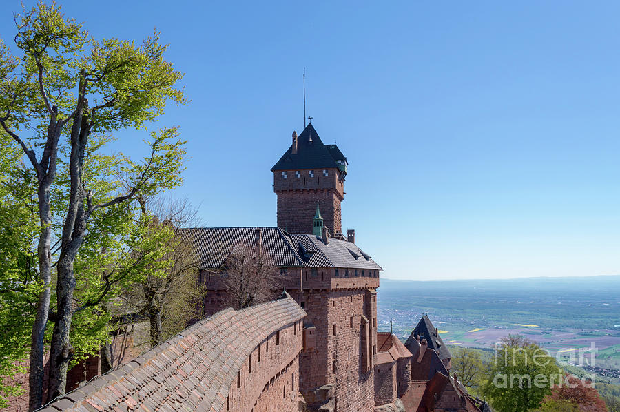 Castle Photograph - View From the Castle, Alsace, France by Sinisa CIGLENECKI