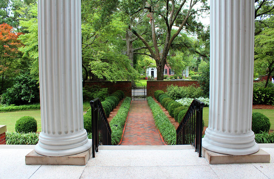 View From The Portico  Photograph by Cynthia Guinn