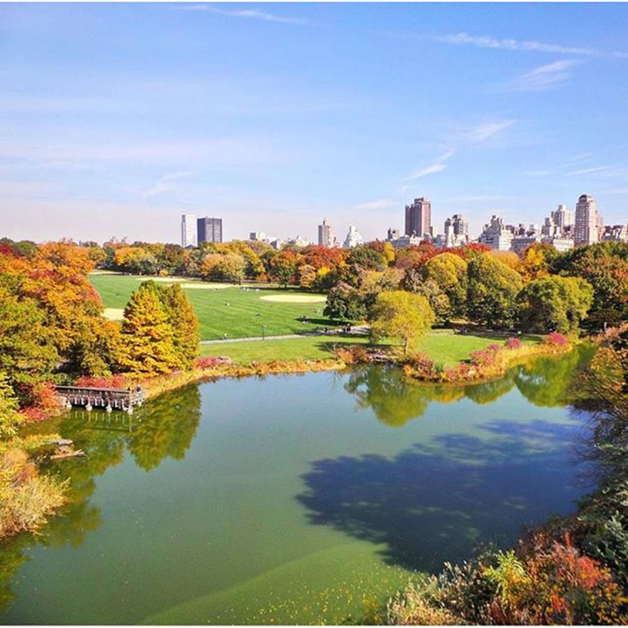 Central Park Photograph - View From The Top  by Charlie Cliques
