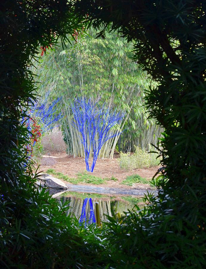 Jacksonville Photograph - View Into an Enchanted Garden by Richard Bryce and Family