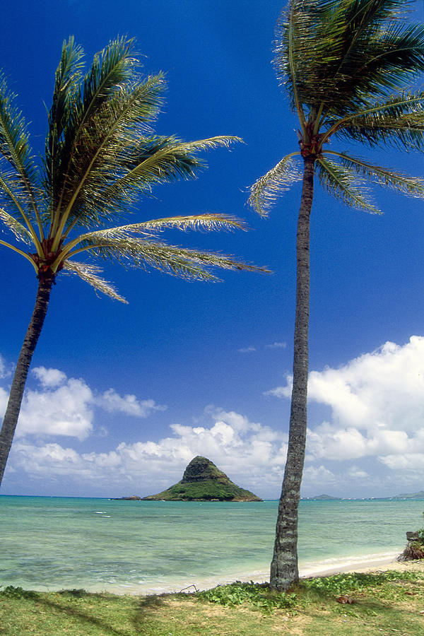 Landscape Photograph - View of a Bay with Palm Trees Kaneohe Bay Oahu Hawaii by George Oze