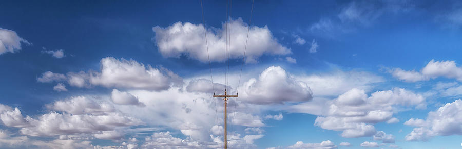  View of a Phone Pole Photograph by Gary Warnimont