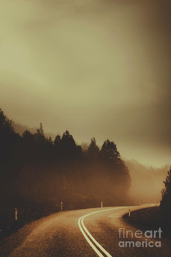 View of abandoned country road in foggy forest Photograph by Jorgo Photography