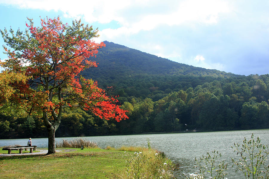 View of Abbott Lake and Sharp Top in autumn Photograph by Emanuel Tanjala