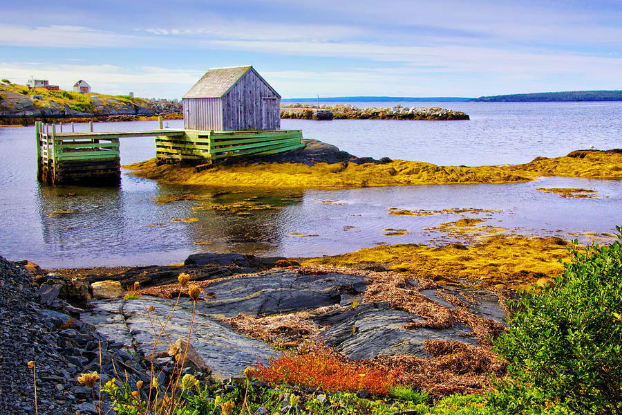 View of Blue Rocks Harbour Photograph by Carolyn Derstine