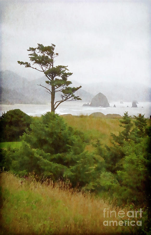 View of Cannon Beach in the fog Photograph by Maria Janicki