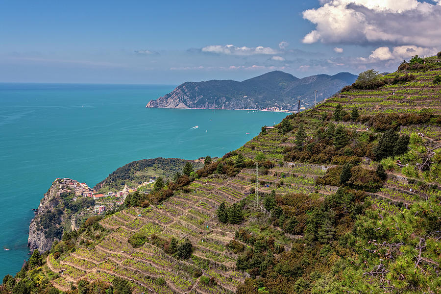 View of Corniglia Cinque Terre Italy Photograph by Joan Carroll