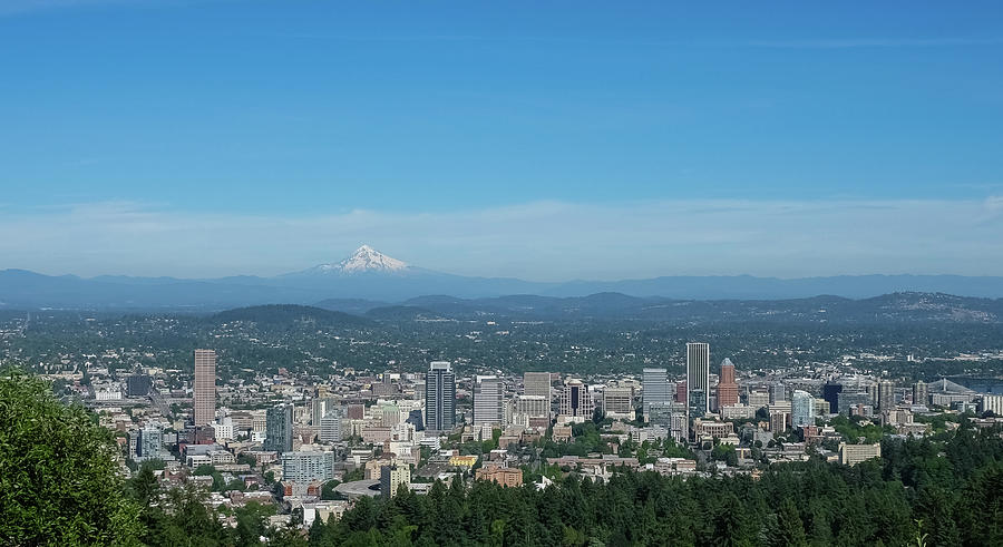 View of downtown Portland Oregon from Pittock Mansion Photograph by Robert Bellomy