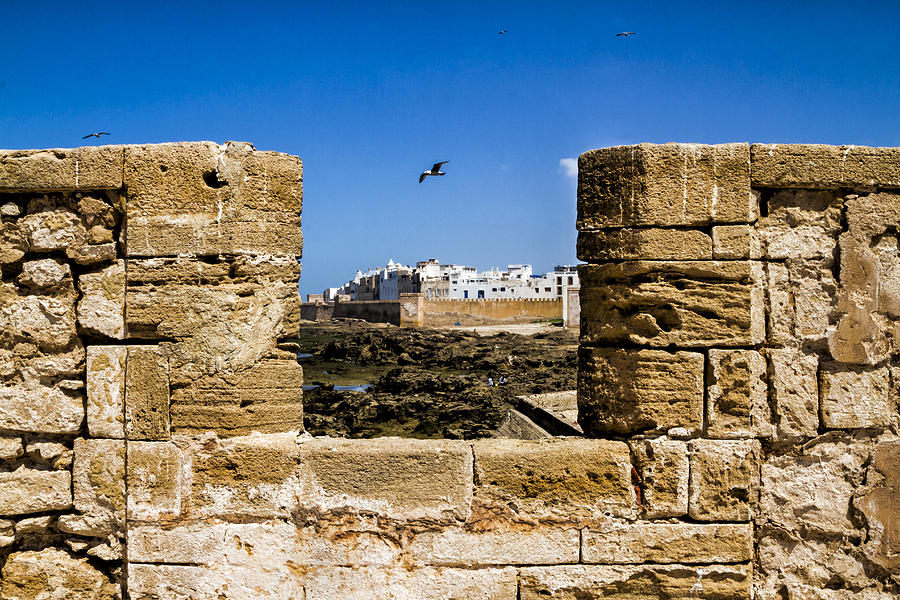 View of Essaouira Morocco Photograph by Lindley Johnson