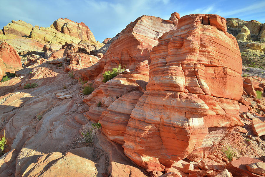 View of Golden Domes from Wash 5 - Valley of Fire Photograph by Ray Mathis