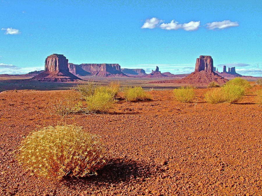 View of Goldenbush from Artist Point in Monument Valley Navajo Tribal Park-Arizona  Photograph by Ruth Hager