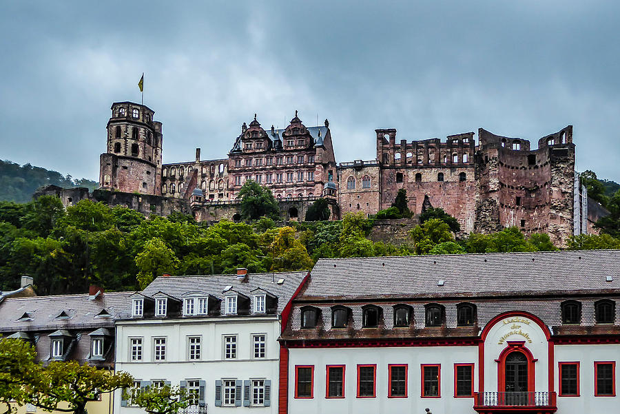 View of Heidelberg Castle Photograph by Pamela Newcomb