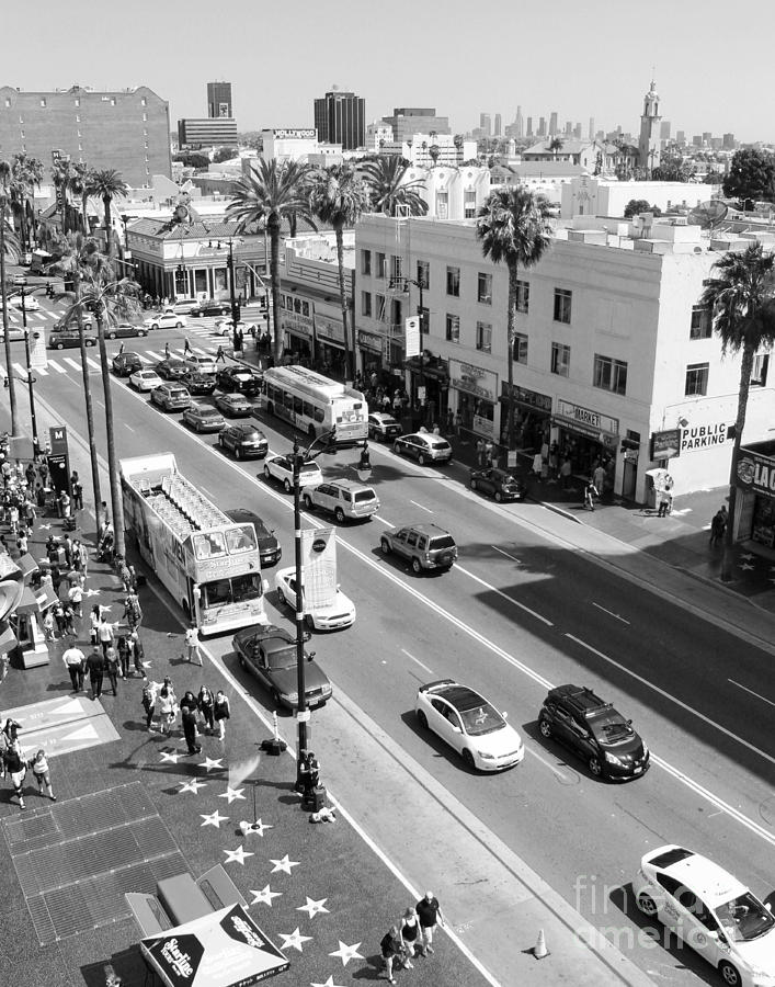 View of Hollywood Blvd black and white Photograph by Cheryl Del Toro