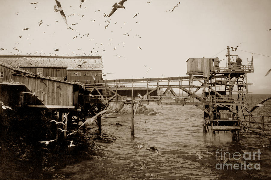 Cannery Row Photograph - View of Hovden fish tower and old bucket hoist from the east Cannery Row 1927 by Monterey County Historical Society
