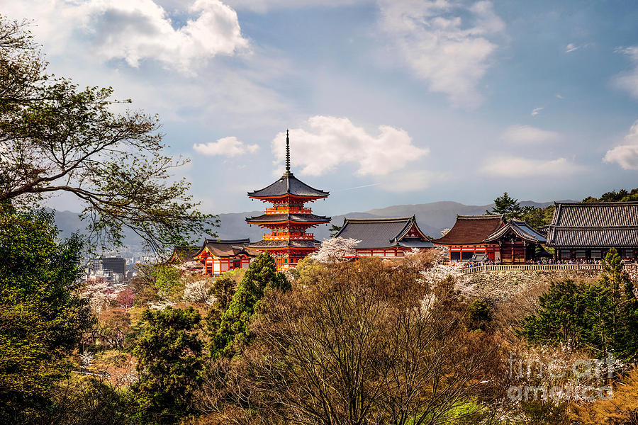 View of Kiyomizudera Temple in Kyoto Photograph by Karen Jorstad