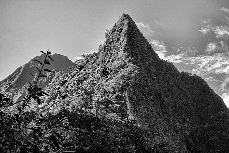 View of Koolau Mountain from Pali Lookout 3 Photograph by Robert Meyers-Lussier