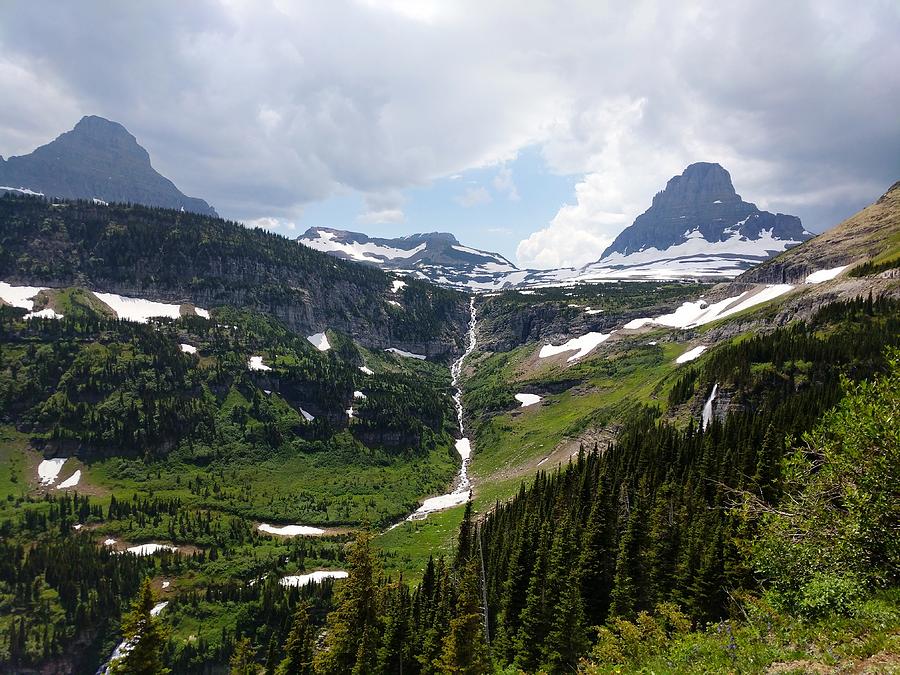 View of Logan Pass Photograph by William Slider