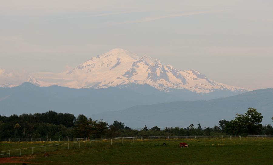 View of Mt. Baker  Photograph by Christy Pooschke