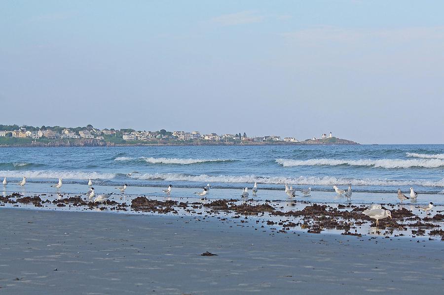 View of Nubble Lighthouse from Long Sands Beach York Maine 2 Photograph by Michael Saunders