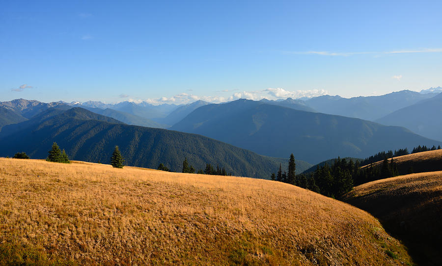 View of Olympics from Hurricane Ridge Photograph by Ronda Broatch