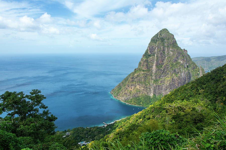View of Petit Piton, St Lucia Photograph by Nicole Freedman