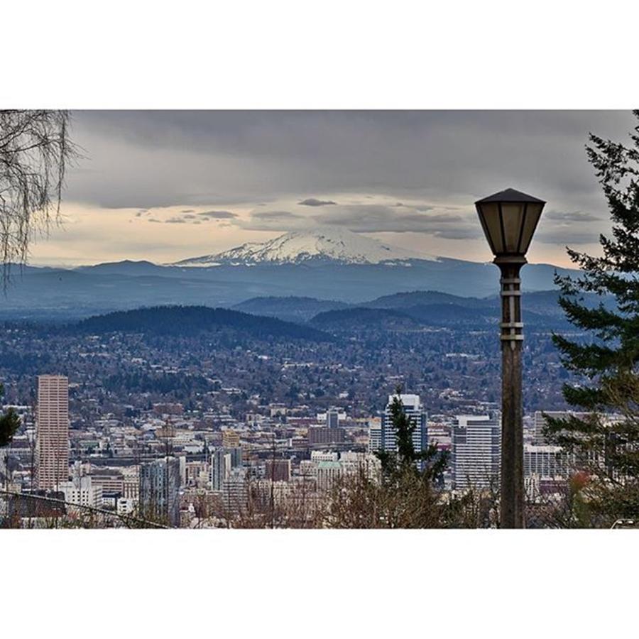View Of Portland And Mt. Hood From Photograph by Mike Warner