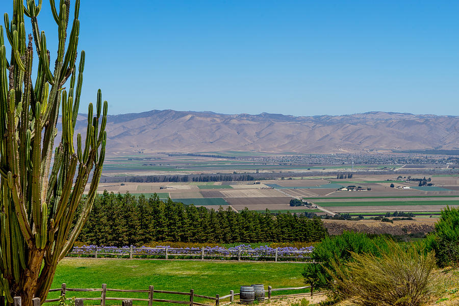 View of Salinas Valley Photograph by Derek Dean