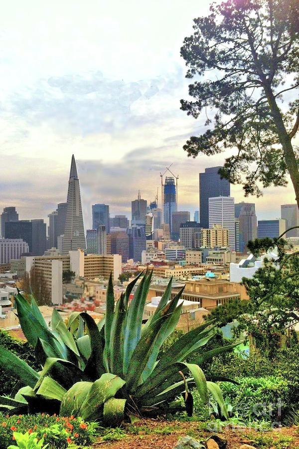 View of San Francisco from Hill Photograph by Janette Boyd
