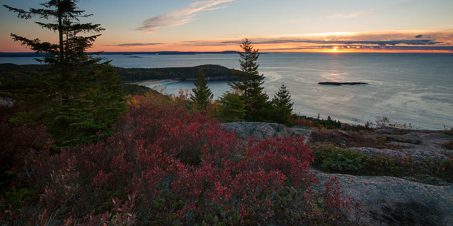 View of Sand Beach from top of Gorham Mountain Photograph by Darylann Leonard Photography