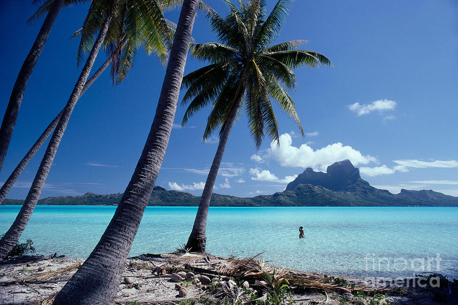 View Of Tahiti Photograph by David Cornwell/First Light Pictures, Inc - Printscapes