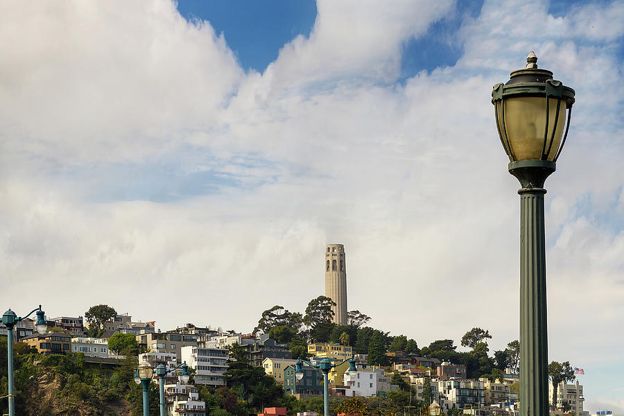 View of Telegraph Hill Neighborhood San Francisco Photograph by David Gn