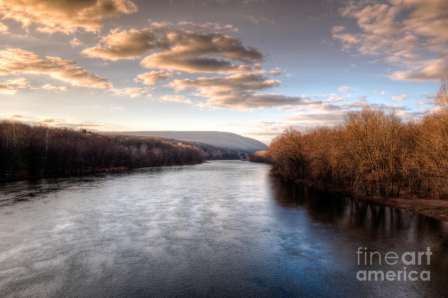 Tree Photograph - View of the Delaware by Jeffrey Miklush
