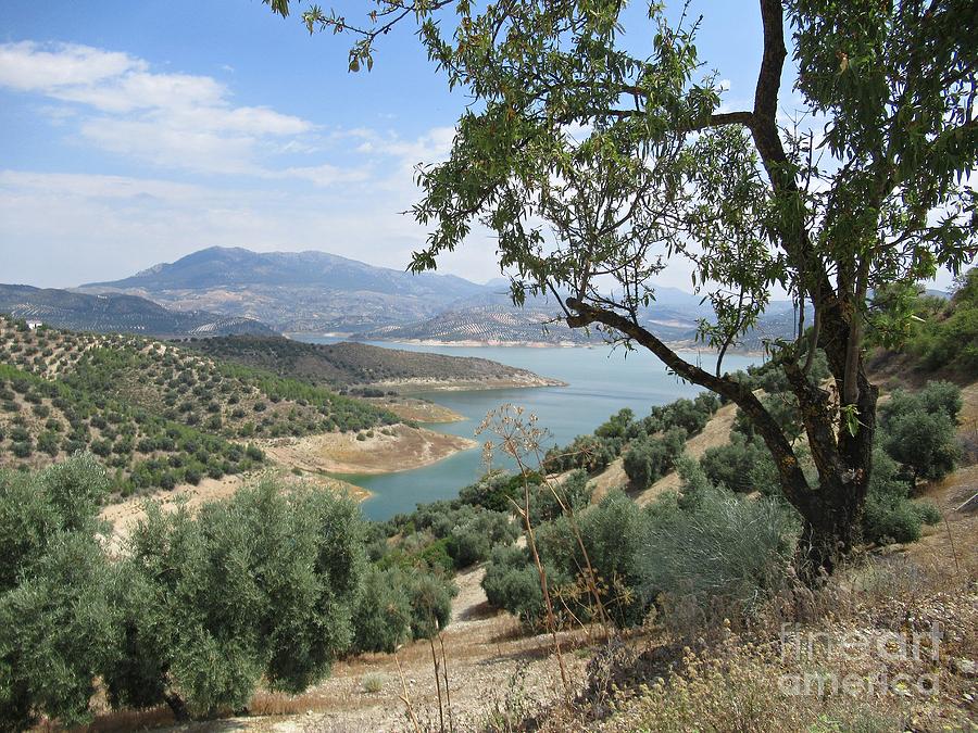 View of the lake near Iznajar Photograph by Chani Demuijlder