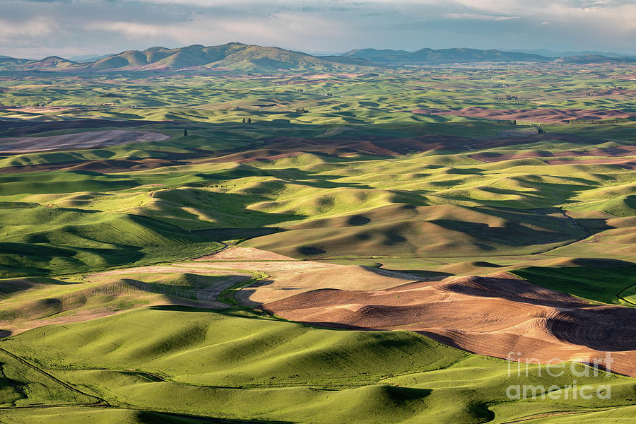 View of the Palouse Photograph by Jerry Fornarotto