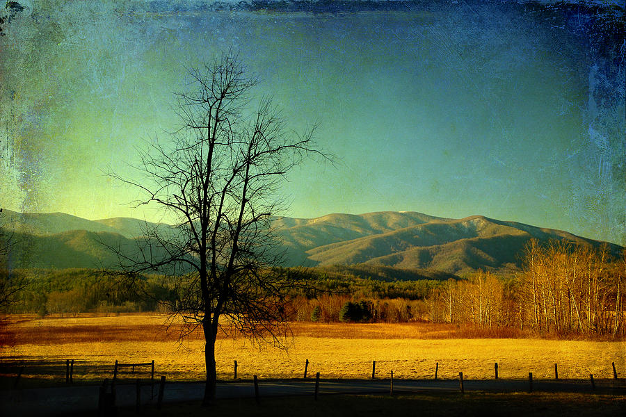 View Of The Smokies Photograph by Mike Eingle