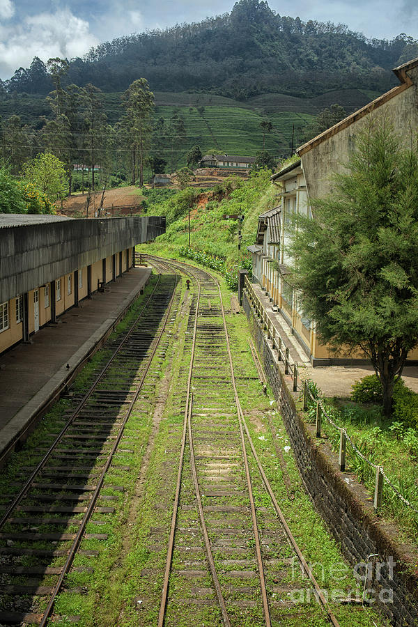 View Of The Tracks At A Railway Station In Sri Lanka Photograph