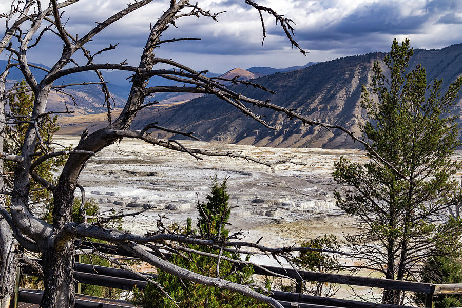View of the travertine and mountains from the pathway at Mammoth Hot Springs Photograph by Roslyn Wilkins