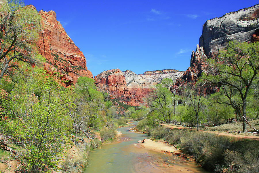 View Of The Virgin River 1 Photograph